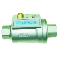 Pneumatic valve 