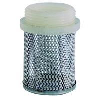 Check valve strainer