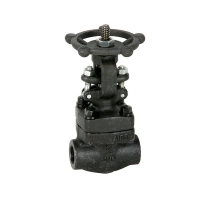 Threaded ends gate valve class 800