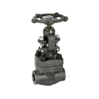 Socket weldends globe valve class 800 