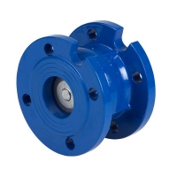 Flanges ends check disk valve 